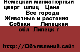 Немецкий миниатюрный(цверг) шпиц › Цена ­ 50 000 - Все города Животные и растения » Собаки   . Липецкая обл.,Липецк г.